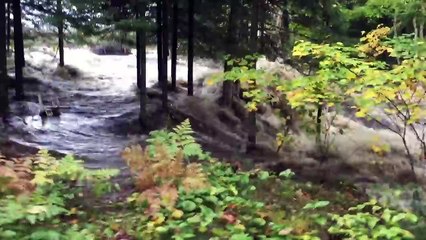 Des castors construisent un barrage qui finit par céder.