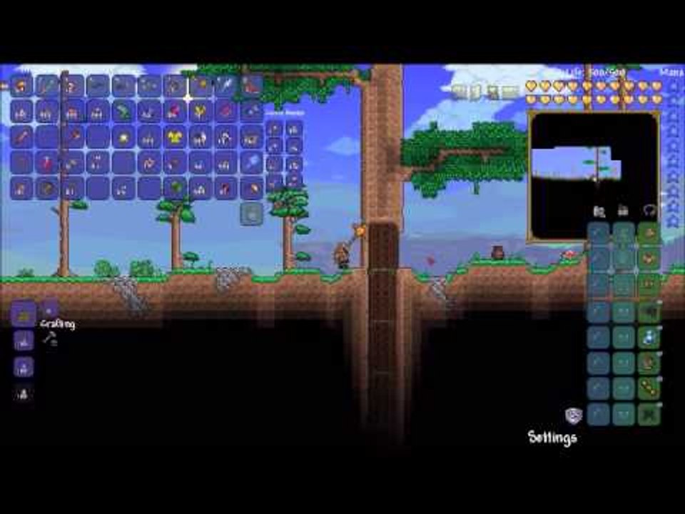 terraria test