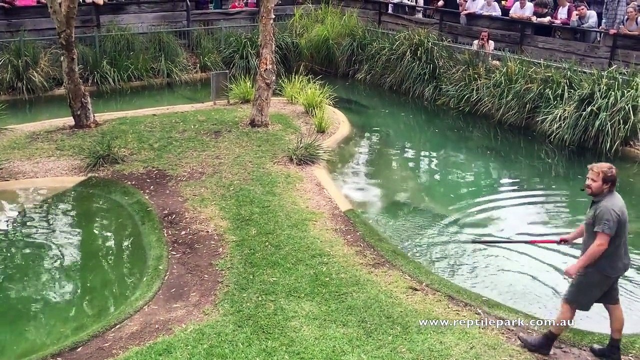 Il fait sortir un crocodile de l'eau pour faire sa demande en mariage