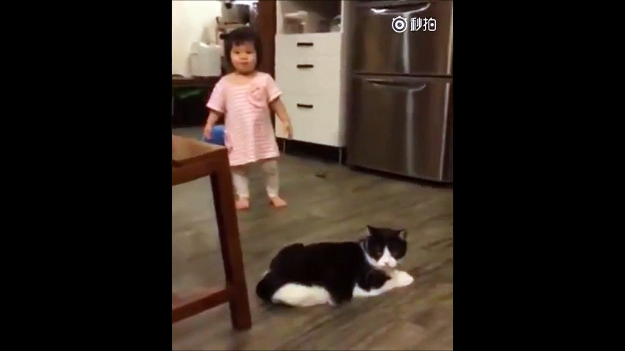 Ce chat est maléfique ! Regardez ce qu'il fait à cette petite fille !