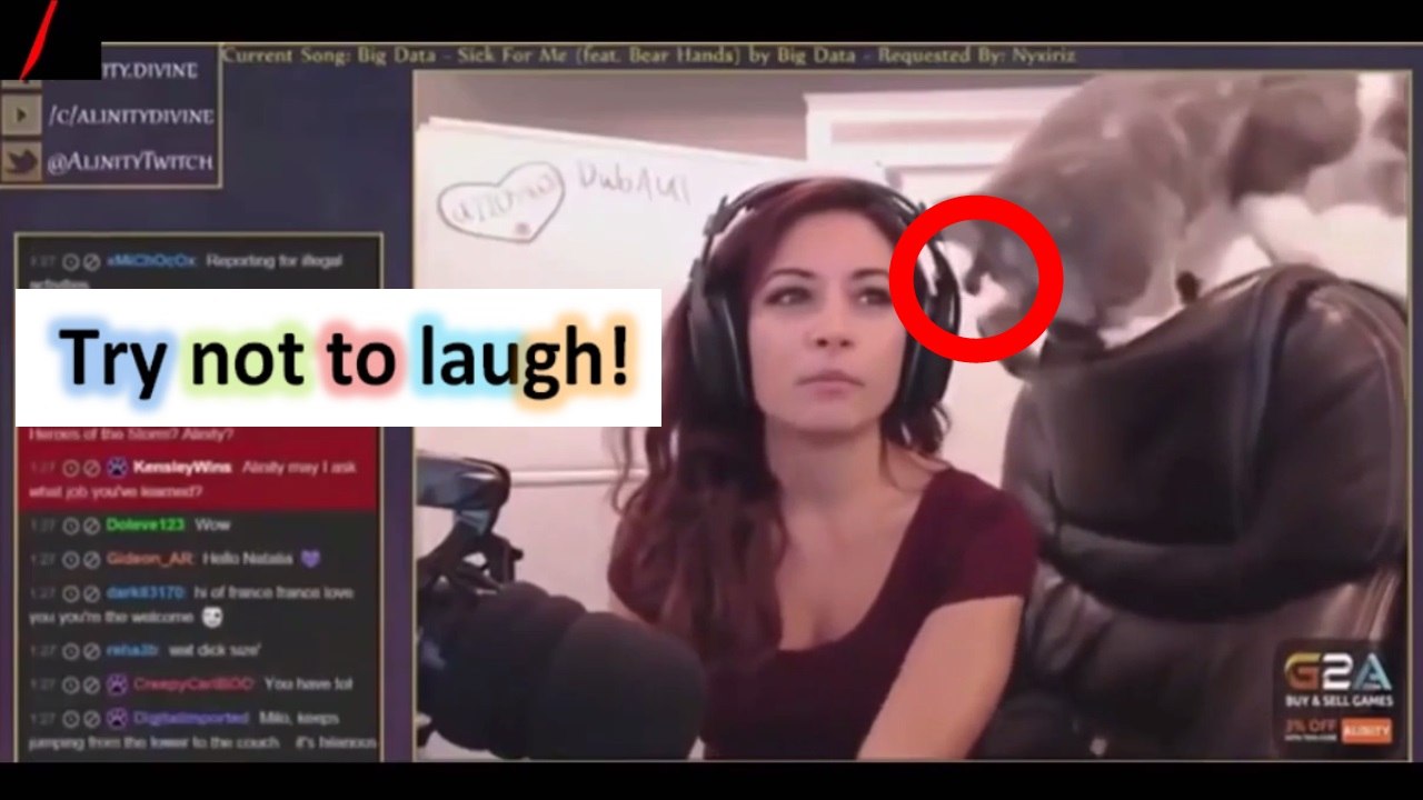 Epic Fail funny Compilation [NEW] #41 - WTF?