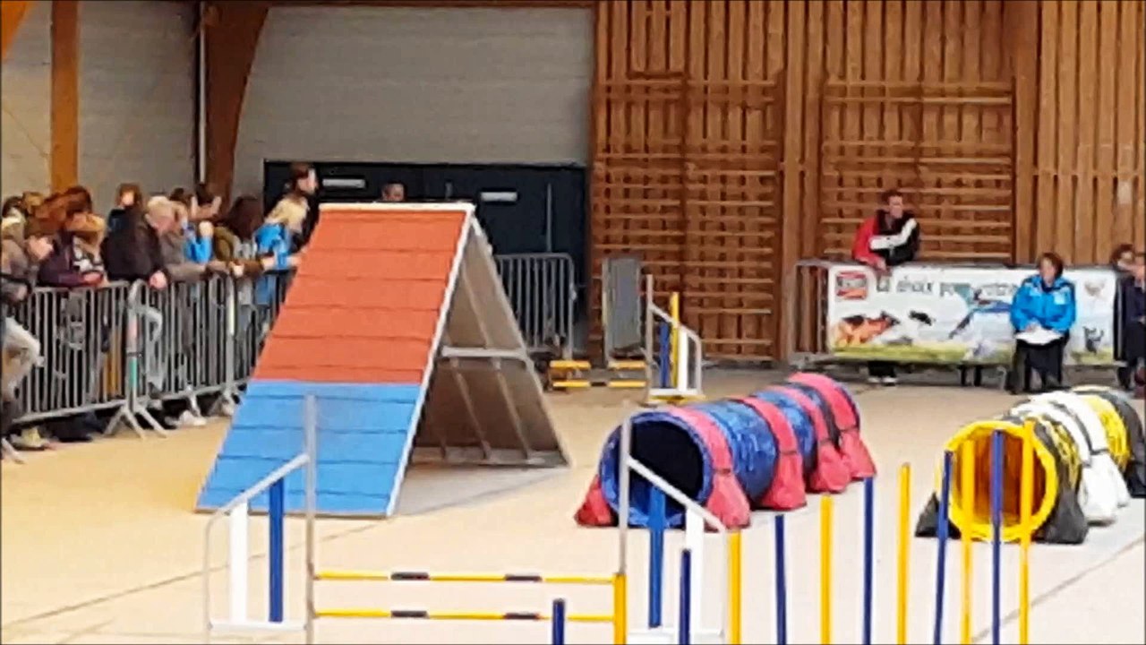 Concours Agility - Mastaing 2016