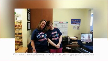 Best Veterinarian Services in Jacksonville FL