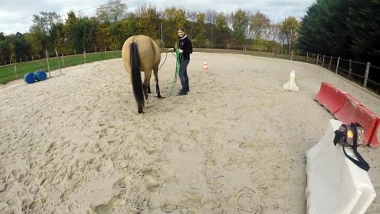 video castella 2