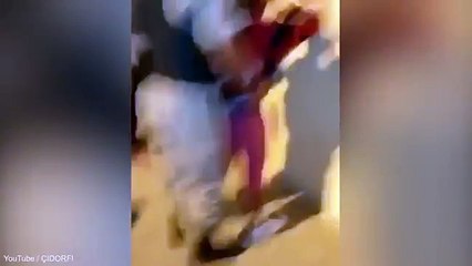 Saca todo lo que llevas