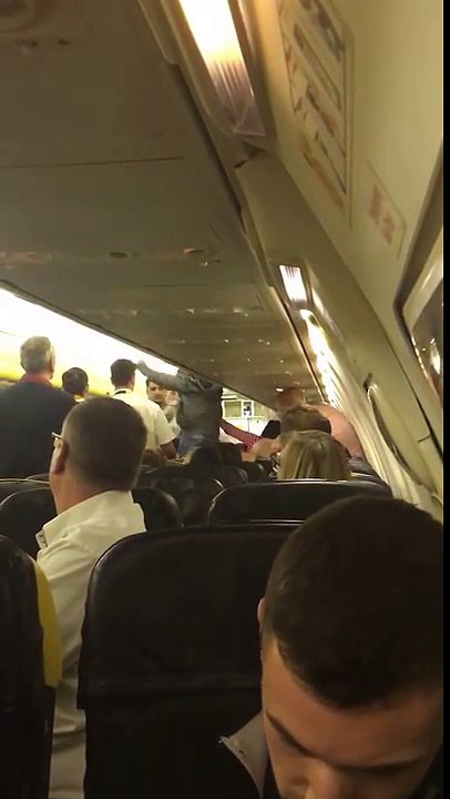Filmée par un passager, une bagarre dans un avion Ryanair au départ de Bruxelles provoque un atterrissage d'urgence