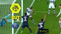 But Gelson FERNANDES (31ème csc) / Paris Saint-Germain - Stade Rennais FC - (4-0) - (PARIS-SRFC) / 2016-17