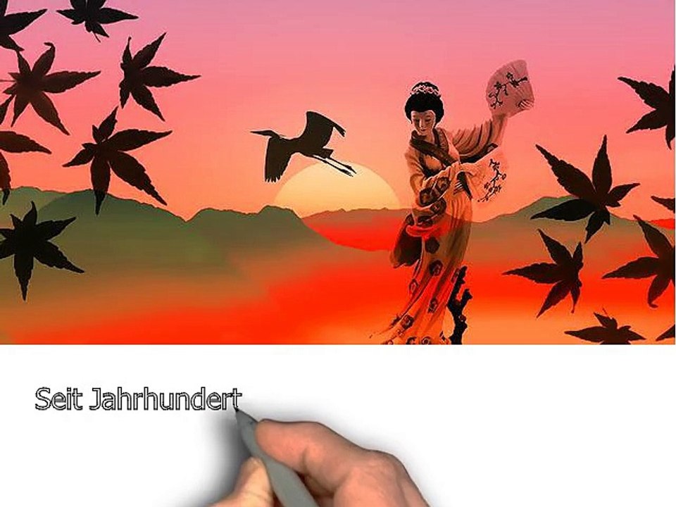 Ratgeber zur Fernöstlichen Kampf- und Lebenskunst