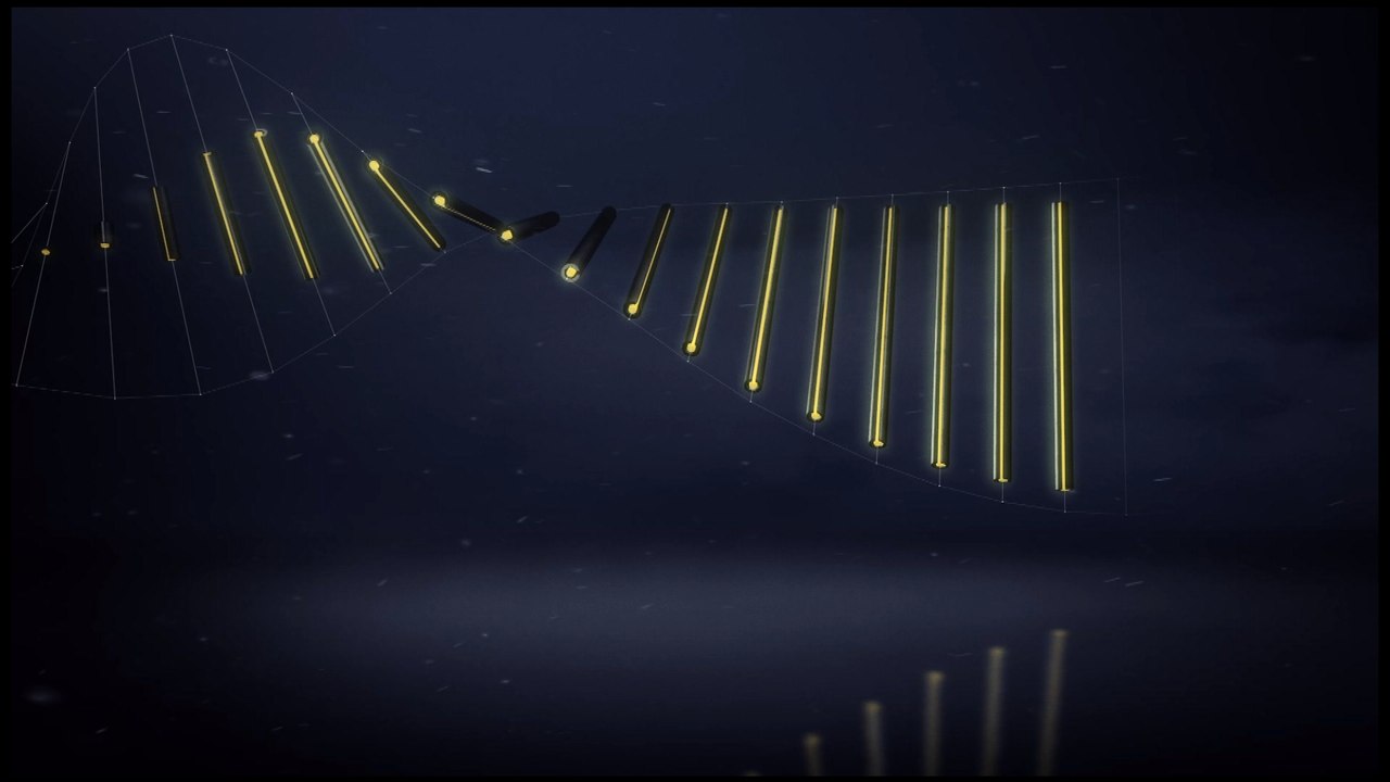 Paris Saint Germain - Rennes à la loupe : 12ème journée de Ligue 1 / 2016-17