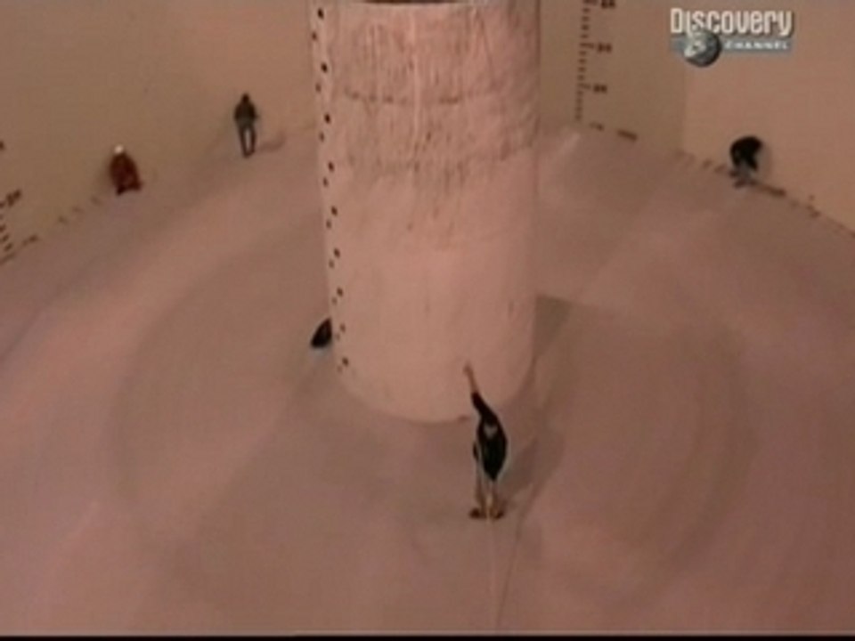 Les cables optiques sous marins