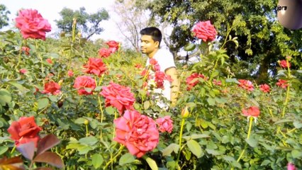 toi jodie chintie amai