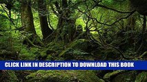 Ebook Trimming Very Old Trees: A Short Story about a Loved One s Stroke and Poor Medical Care for