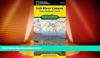 Big Sales  Salt River Canyon [Tonto National Forest] NG853 (National Geographic Trails Illustrated