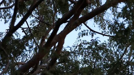 Finding Inner Peace Through Conflict management strategies