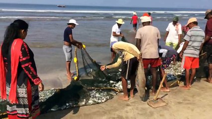 Fishing In Indian Sea | Fishing With Nets | Fishing Video