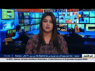 وزير الثقافة التونسي يقدم اعتذاراته للفنانة القديرة بهية راشدي