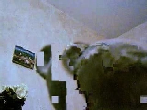 Tiki chante Koxie Garçons