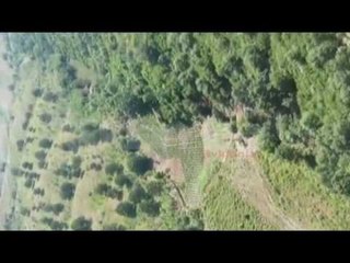 NOKA, LETER AMBASADORIT ITALIAN PER KANABISIN