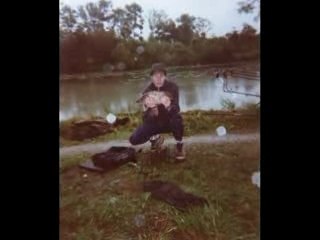 Vidéo sur les carpes.