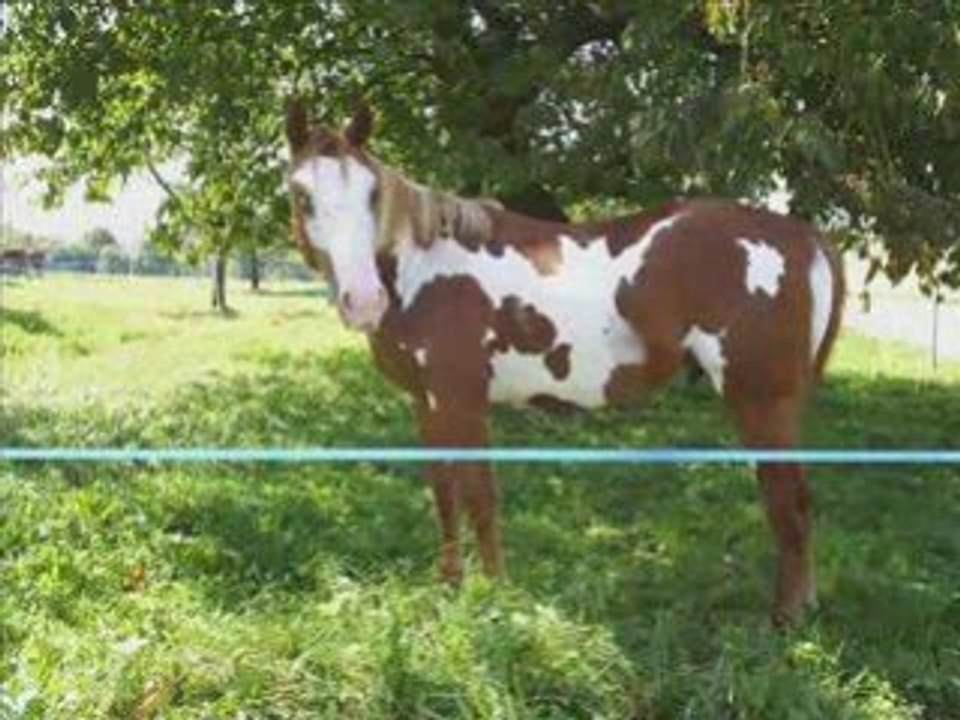 Ses premiers pas à la maison