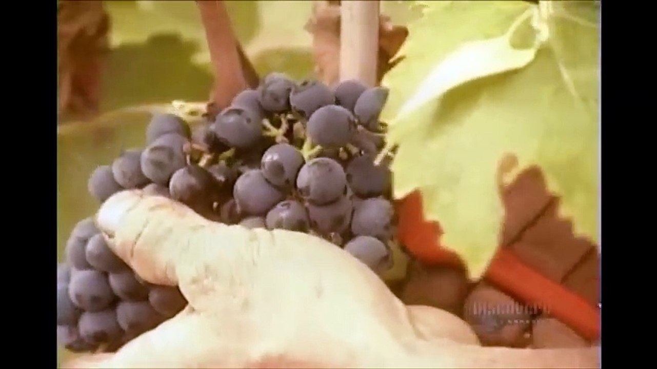 How It`s Made   Wine