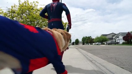 Spiderman vs Zombie Spiderman Orbeez Bath Time SuperHero fun part 3