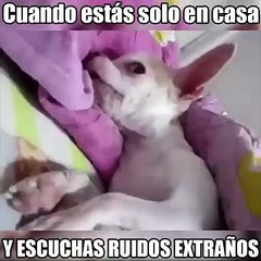 Cuando Estas Solo En Casa