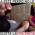 A Este Perro No Le Gusta La Violecia