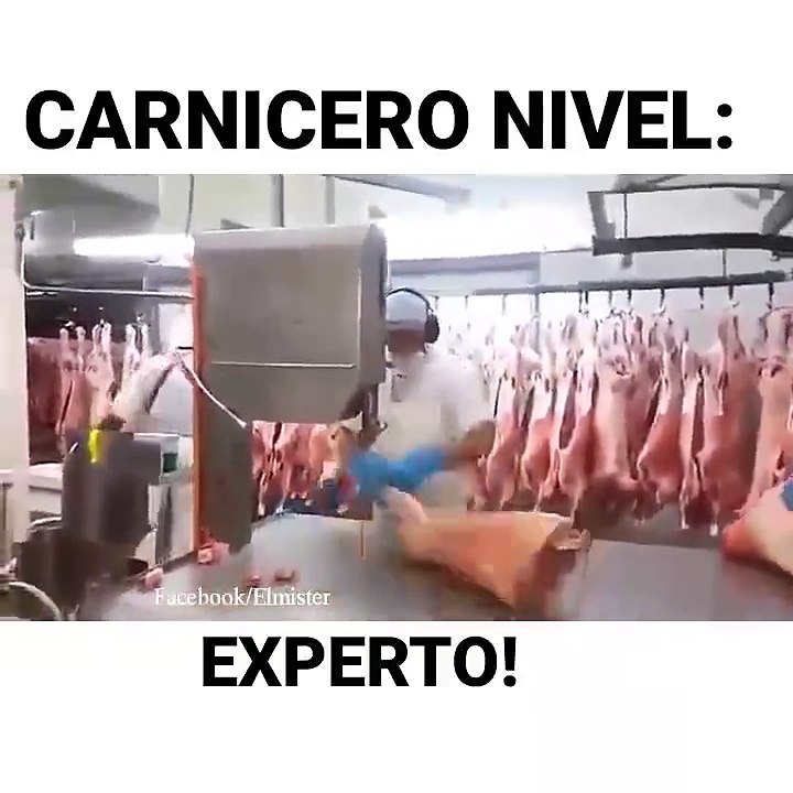 Carnicero experto