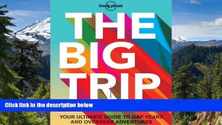 Must Have  The Big Trip: Your Ultimate Guide to Gap Years and Overseas Adventures (Lonely Planet.