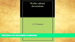 READ  Walks about Jerusalem  BOOK ONLINE