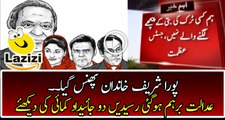 Intense Remarks of Supreme Court Over Panama Leaks