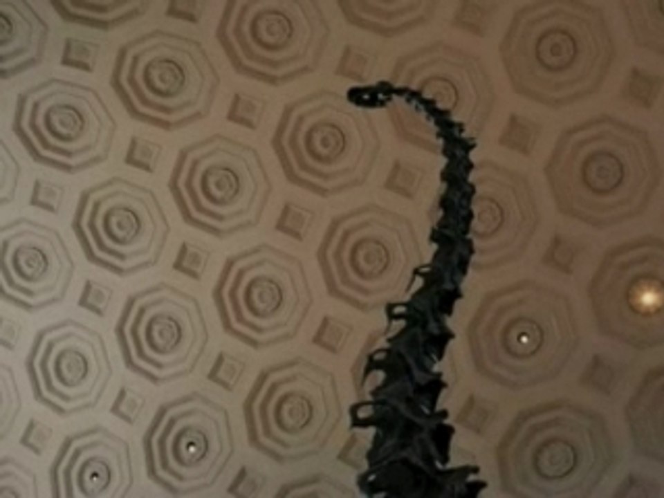 Louis Vuitton, Journey to New-York by Agassi and Graf