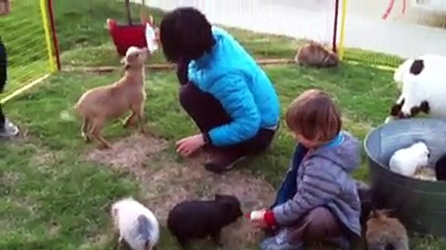 Montessori Preschool dallas | Montessori Preschools Frisco | Montessori Pre K Frisco | Toddler Daycare Carrollton