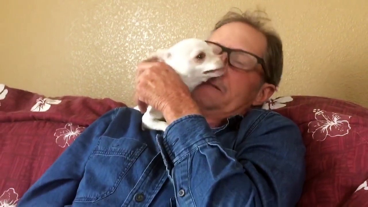 Puppy Loves Kisses