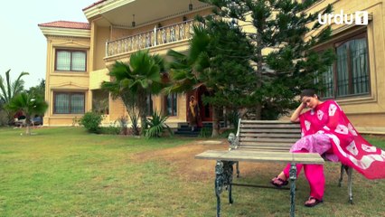 Dil Apna Preet Parai Episode 81 Urdu1
