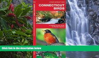 Big Deals  Connecticut Birds: A Folding Pocket Guide to Familiar Species (Pocket Naturalist Guide