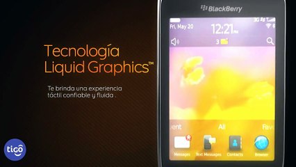 BlackBerry Torch 9810