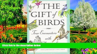 Best Deals Ebook  The Gift of Birds: True Encounters with Avian Spirits (Travelers  Tales Guides)