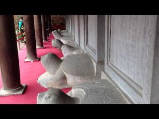 Sờ đầu các cụ rùa cầu may: Trẻ Việt Kiều và khách ngoại quố