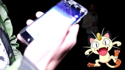 Download Video: POKÉMON GO NACHTS IM WALD