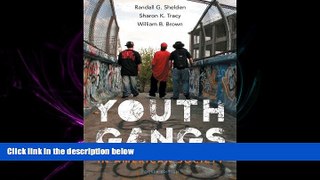 Choose Book Youth Gangs in American Society