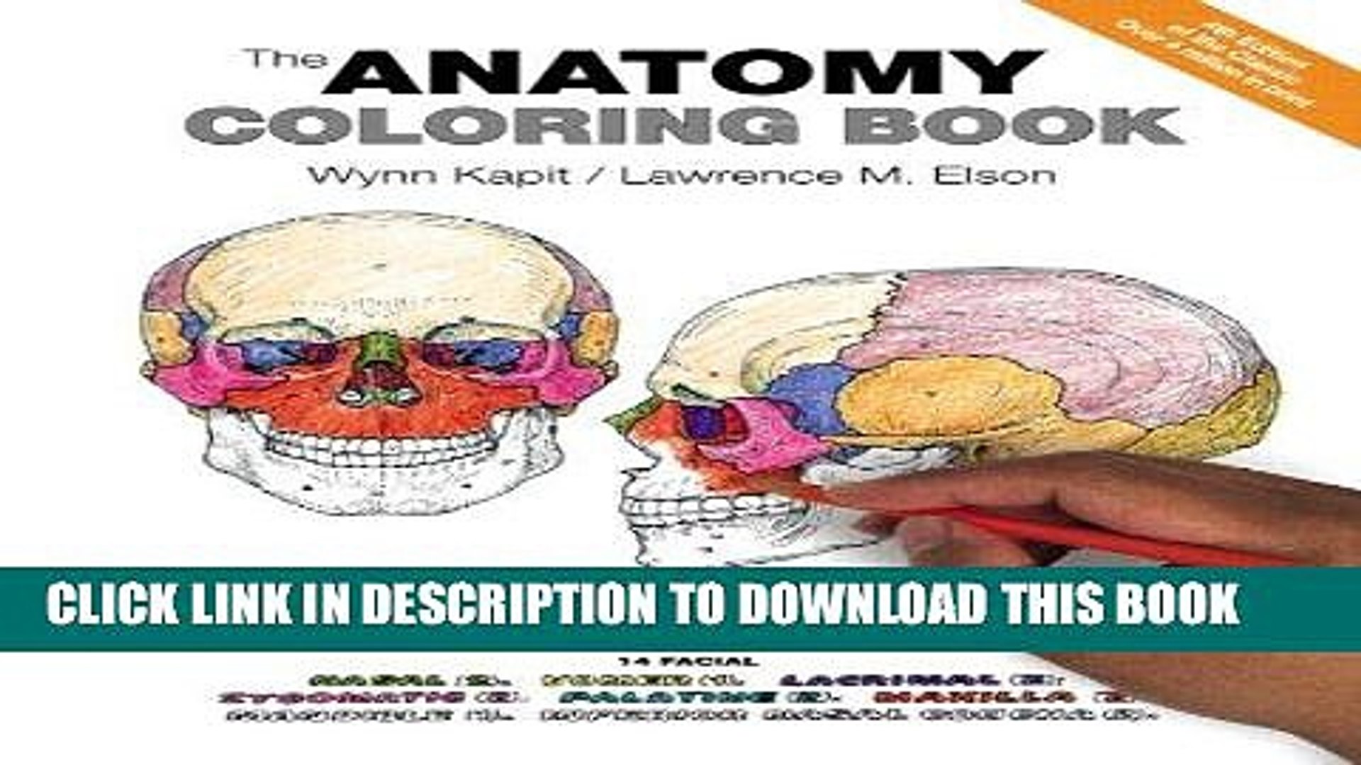 The Anatomy Coloring Book 4Th Edition Pdf Free Like our facebook page