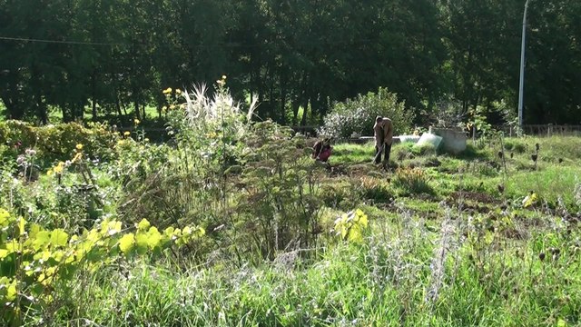 Douze communes de Bourgogne Franche-Comté en route vers le zéro phyto