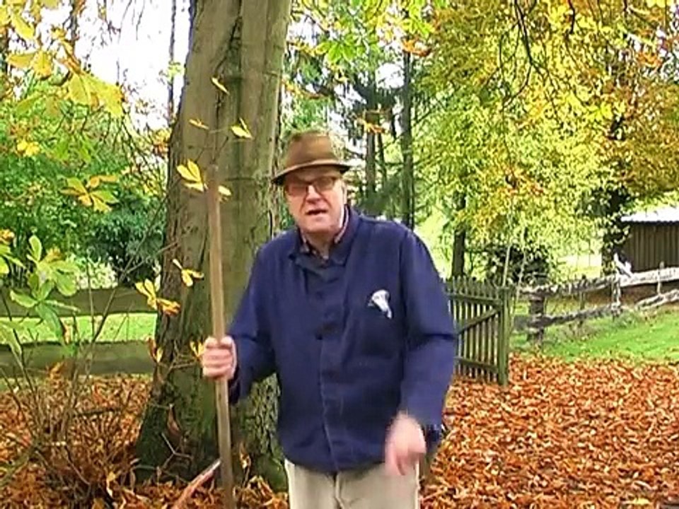 Donald Trump vs. Hillary Clinton - Kampf um das weisse Haus