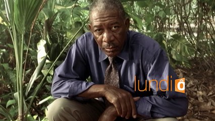 Suspicion : bande-annonce