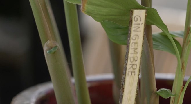 DIY : comment faire des étiquettes en bois ?