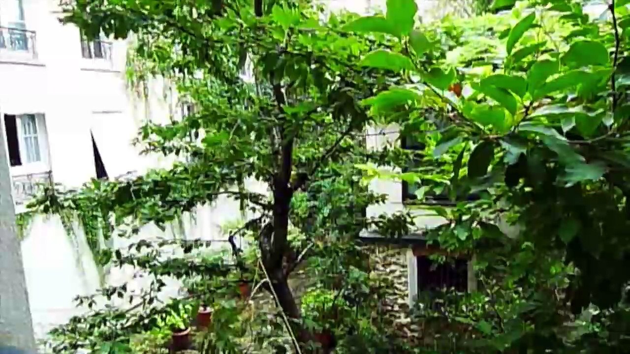 teaser BB novembre ter