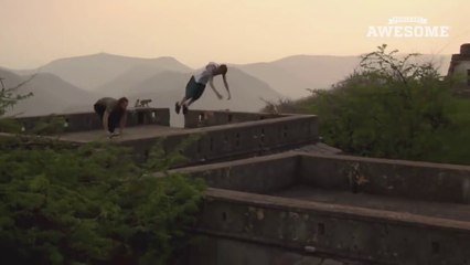 Faire du Parkour avec des singes... Incroyable