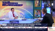 Assurance-vie: les épargnants doivent-il s'inquiéter de certaines mesures de la loi Sapin II ? - 07/11